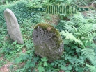 židovský hřbitov Loučim