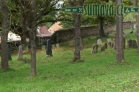 židovský hřbitov Mirotice
