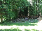židovský hřbitov Puclice