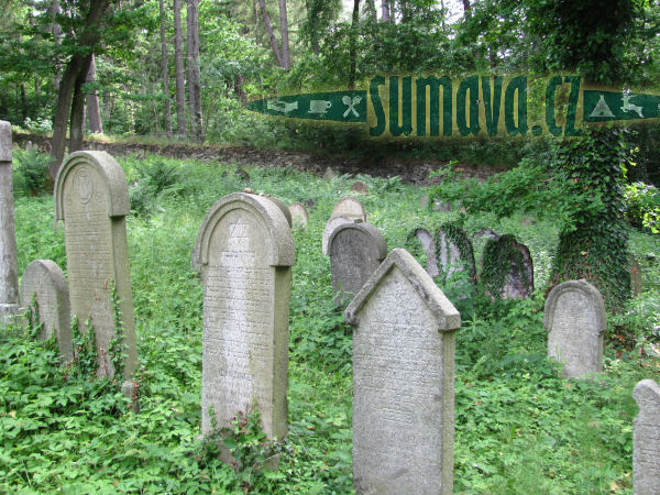 židovský hřbitov Strážov na Šumavě