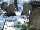 židovský hřbitov Švihov