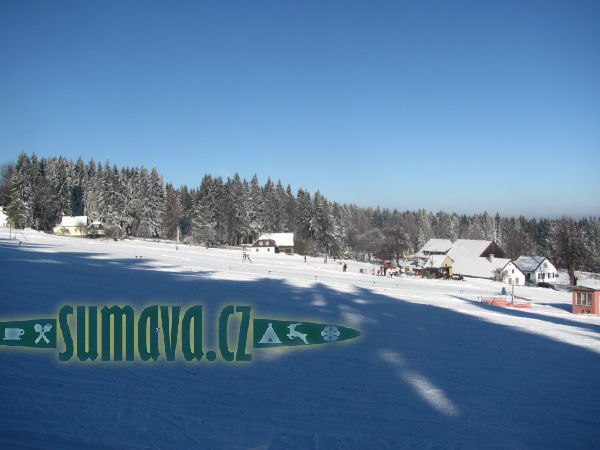 Javorník