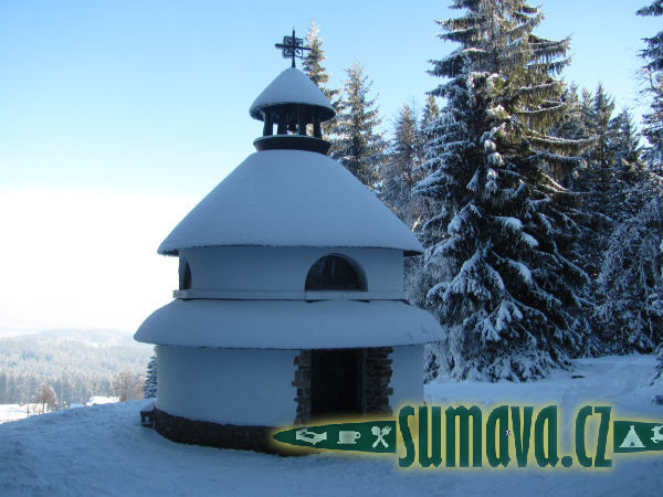 Javorník