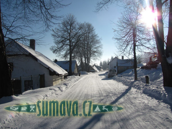 Javorník