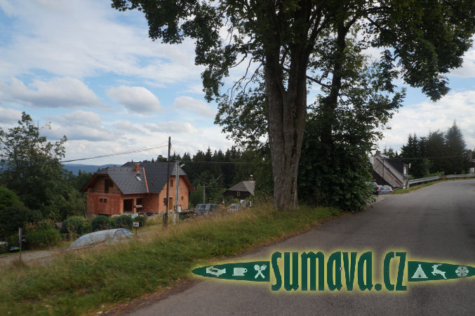 Javorník