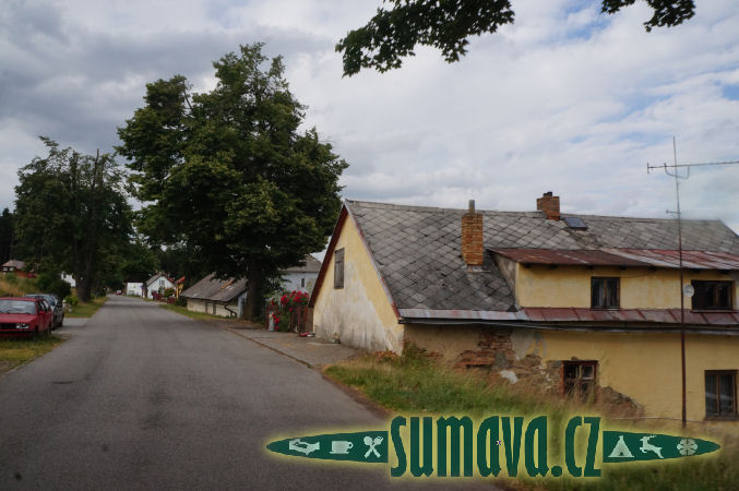 Javorník