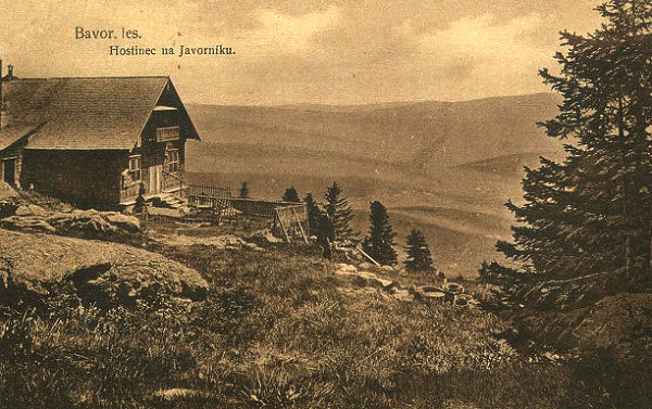 Javorník (historické)