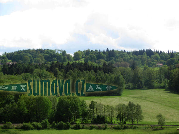 Javoří u Běšin