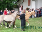 jízda Svatého Linharta, Uhliště