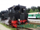 jízdy parního vlaku, Localbahnmuseum 2011