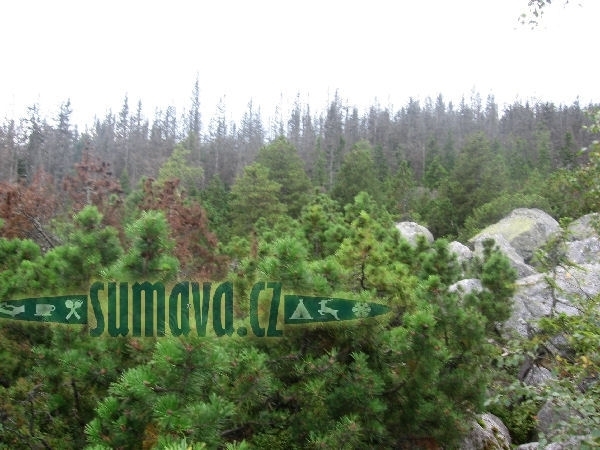 Kamenné moře u Plešného jezera
