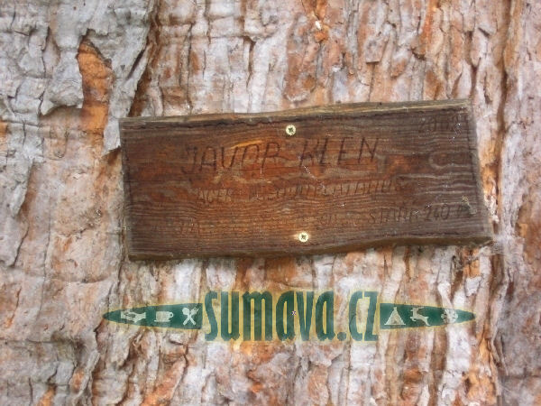 Kněžice, Petrovice u Sušice