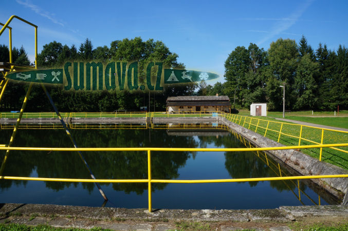 koupaliště Lázně Letiny