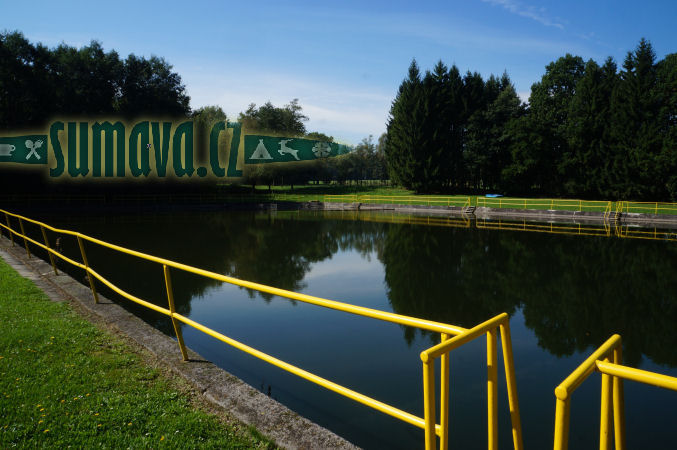 koupaliště Lázně Letiny