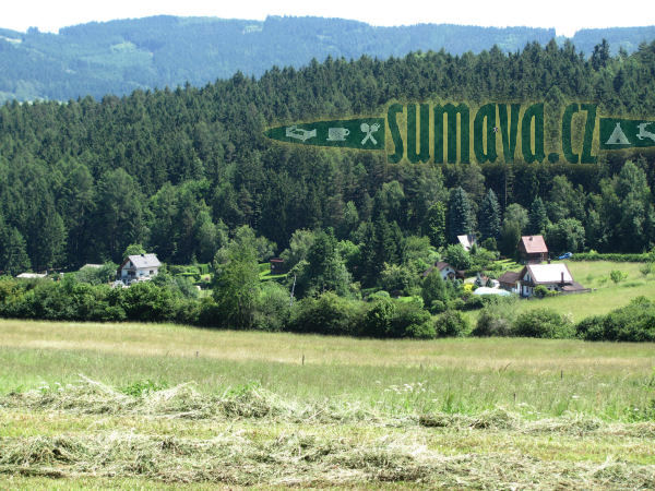 Kozí