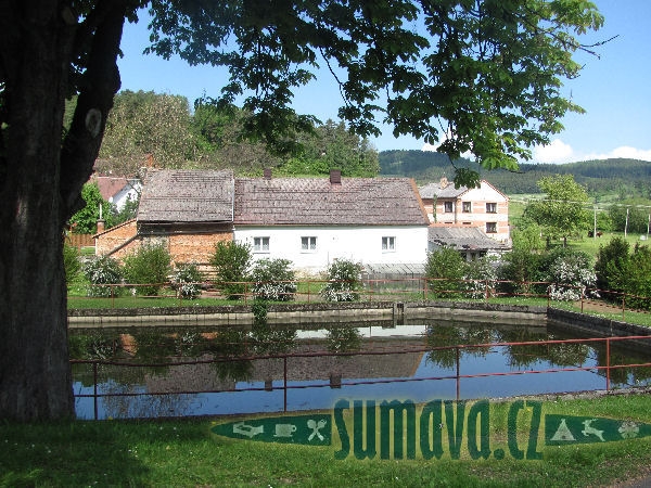 Kozí