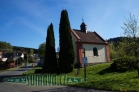Kozí