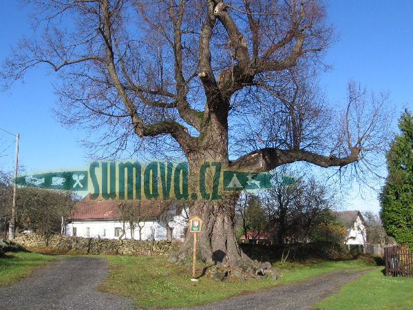 Krotějov