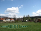 Luženice