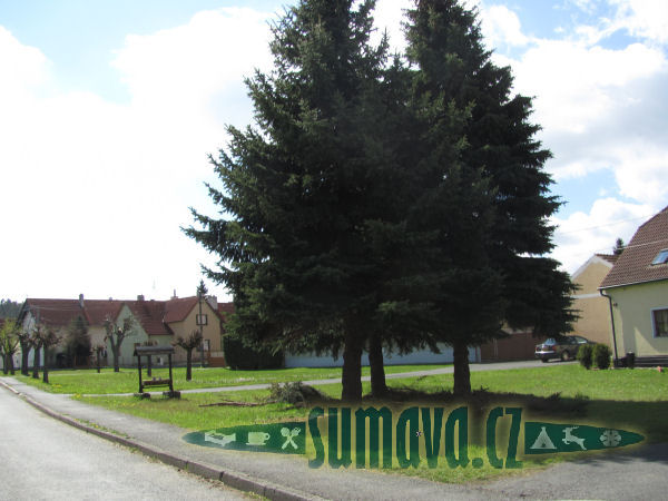 Luženičky