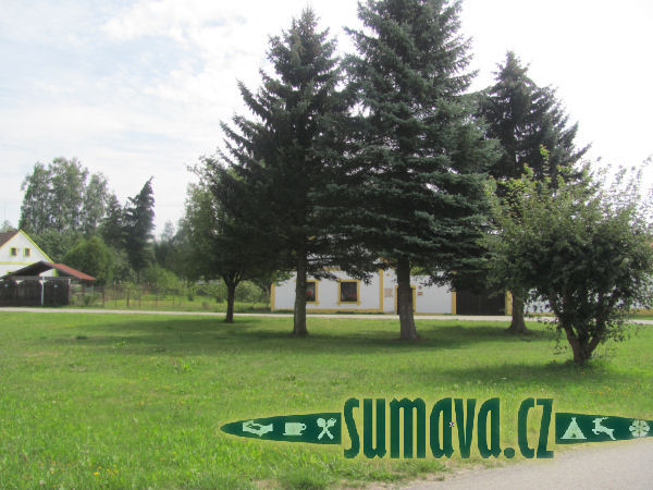 Lutová