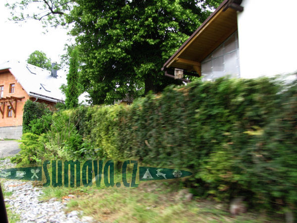 Mladotice u Strážova