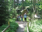 pohádkový les Märchenwald 2008