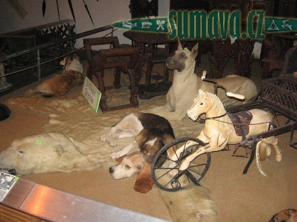 muzeum vycpaných zvířat - Tiermuseum Pfeiffer - Regenhütte (D)