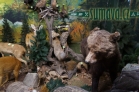 muzeum vycpaných zvířat - Tiermuseum Pfeiffer - Regenhütte (D)