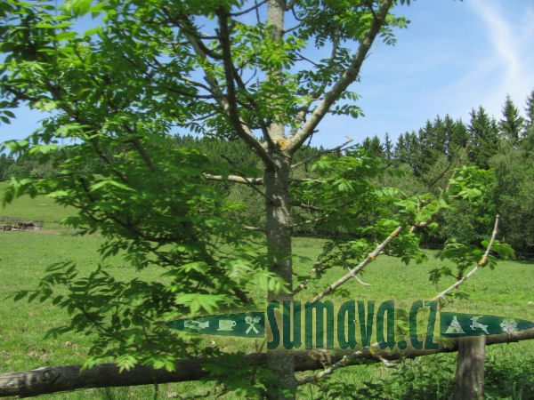 Onen Svět