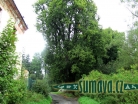 Palvínov