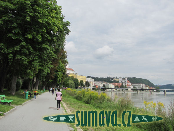 Pasov (D)