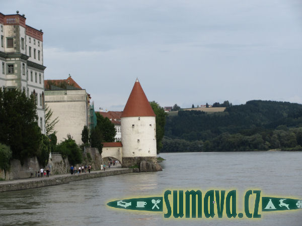 Pasov (D)