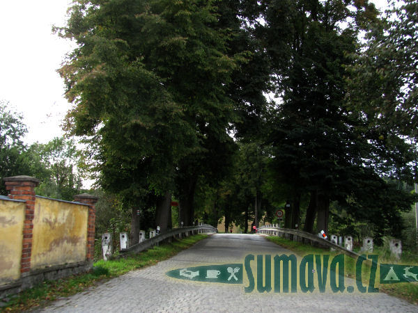 Předenice