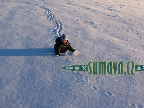 Přestanice