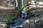 Pěkný potok - Wundebach