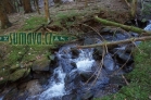 Pěkný potok - Wundebach
