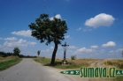 Plavsko