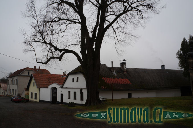 Poleň
