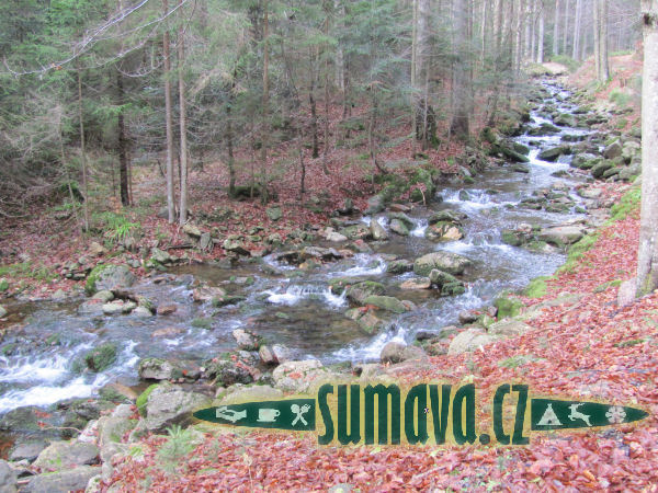 potok Svarožná