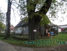 Přední Zvonková