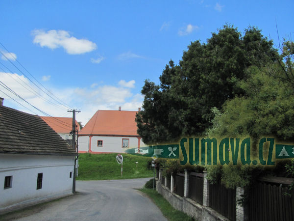Puclice