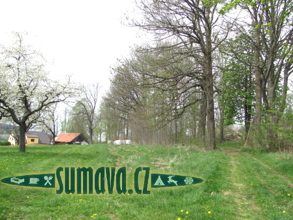 Radostice u Hlavňovic