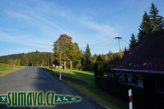 Rokyta