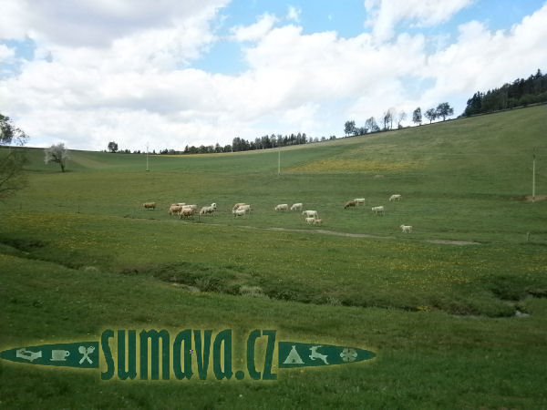 Rovná u Petrovic u Sušice