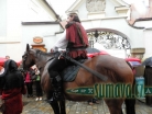 Slavnosti pětilisté růže 2015, Český Krumlov