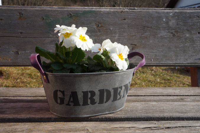 směnárna a shop RetourEx, Alžbětín, Železná Ruda