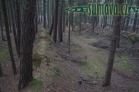 Spálený les, Klatovy - Luby
