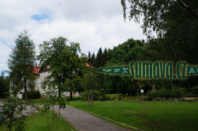 Srní