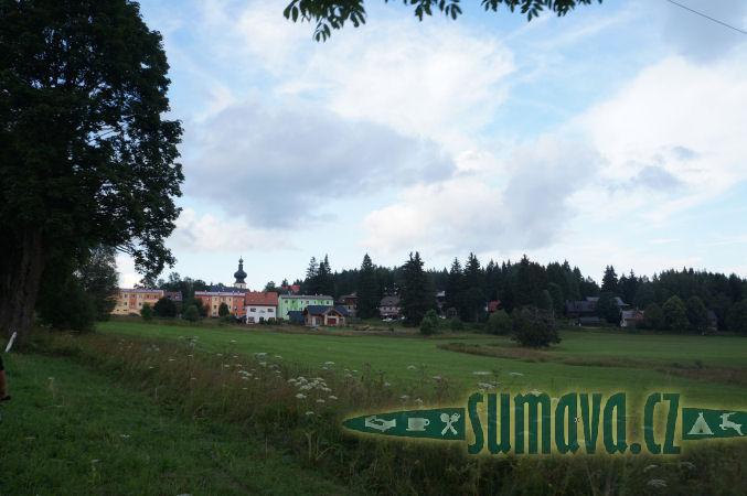 Srní
